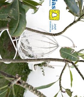 Al Mahdiyah Ski Chalet | Oias resorts