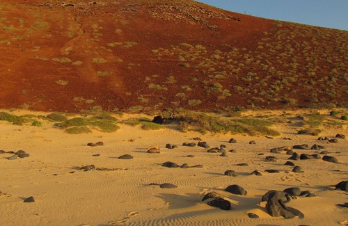 Yaiza Cottage | Old finca with sea views