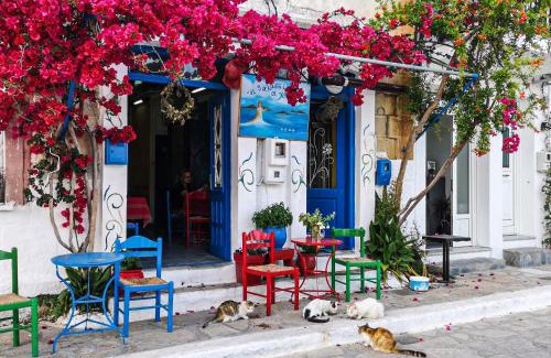 Marathokampos Villa | Old Villa Ormos