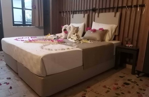 Ortaca Hotel | OLİVİA HOTEL