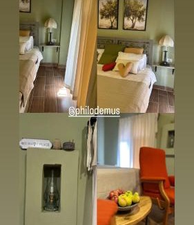 Umm Qais House | Olive house