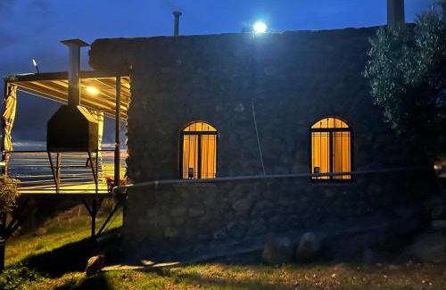 Umm Qais House | Olive house