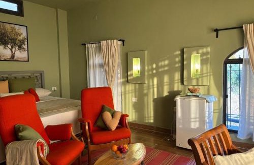 Umm Qais House | Olive house