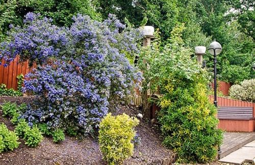 St Ives Hotel | Olivers Lodge Hotel