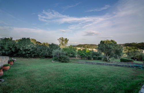 Haniotis House | Olives Residence