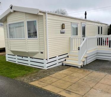 Dinas Other | Olivia Ann