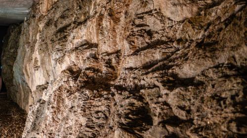 Merano Apartment | Olivia