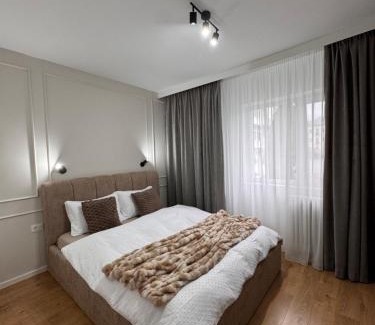 Calimanesti Apartment | Olt view apartament