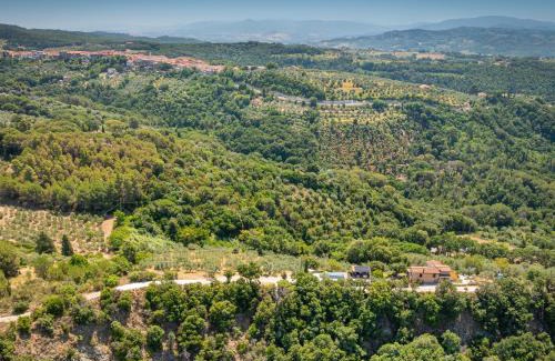 Riparbella House | Oltremare