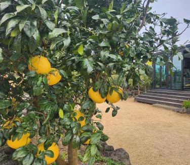 Namwon House | On the way to Santiago