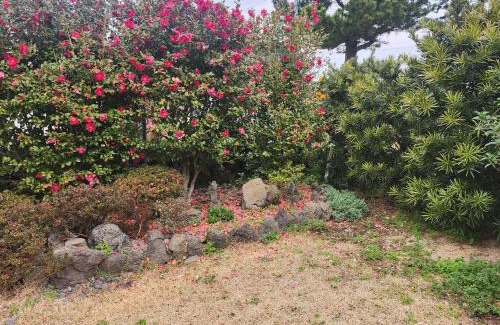 Namwon House | On the way to Santiago