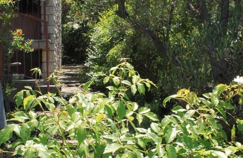 Valun Apartment | One bedroom apartment with balcony and sea view Valun, Cres (A-386-b)