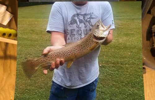 Warrensville House | One of a kind 3bd Cabin on the New River- Sleeps 6