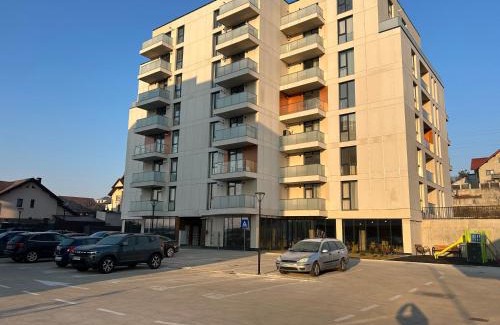 Bistrita Apartment | One Studio