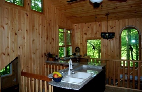Bryson City House | Only 145, Eco-Friendly Cabin in country Bryson-Nantahala, CREEK, FIRE PIT, WIFI