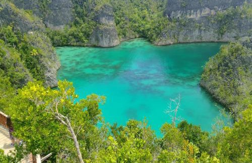 Pianemo Islands House | OR Mandira Homestay