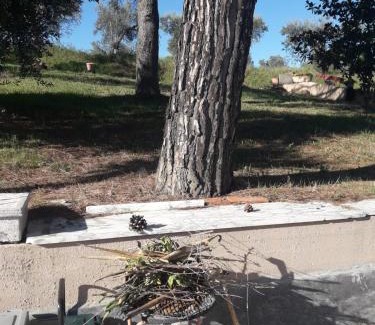 Controguerra House | Orange house