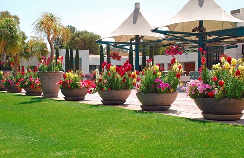 Paradise Valley Village Condo | Orange Tree Resort 1br unit, Sunday check-in