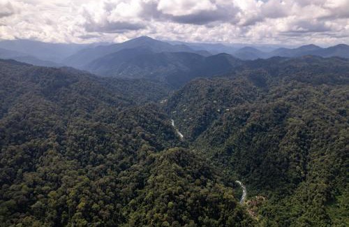 Bohorok Villa | Orangutan Villa & Ethical Jungle Treks