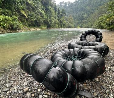 Bohorok Villa | Orangutan Villa & Ethical Jungle Treks