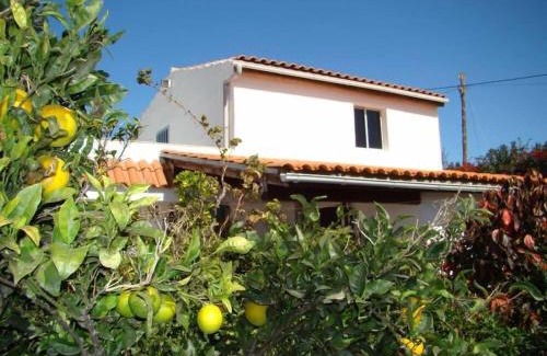 Granadilla de Abona Apartment | Orchard Cottage
