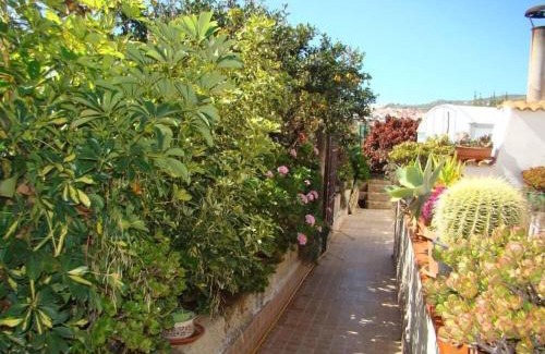 Granadilla de Abona Apartment | Orchard Cottage