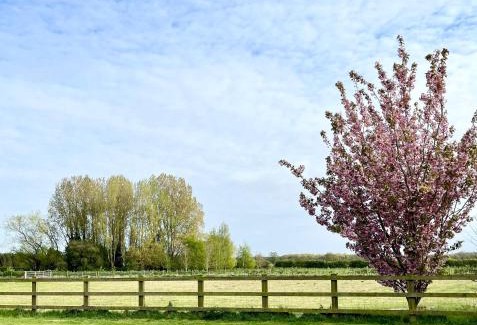 Storwood Apartment | Orchard Hideaway, Bielby, York