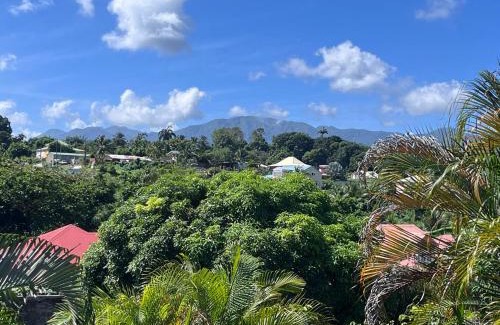 Circuit 1C1 Apartment | Orchidée Guadeloupe