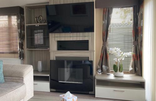 Ringwood Other | Orchid 3