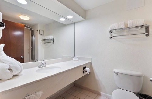 Orlando Hotel | Orlando Palms Hotel