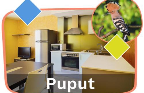 Sant Carles de la Rapita Apartment | Ornis Apartments Platja