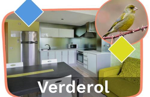Sant Carles de la Rapita Apartment | Ornis Apartments Platja