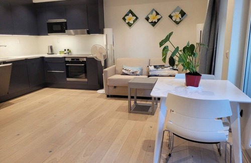 Bjørvika Apartment | Oslo Center, Norway, your second home.