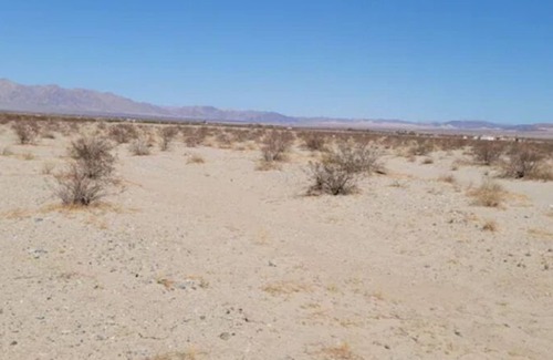 Twentynine Palms RV Rental | Outdoors fire pits w/Beautiful Stars & Moon view