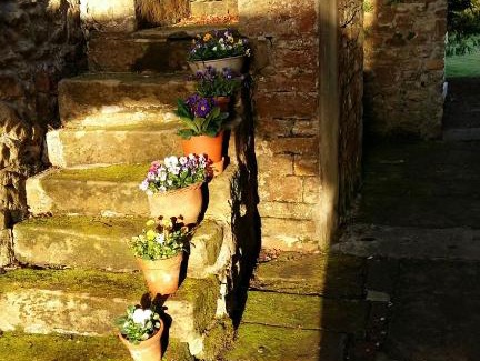 Hallington House | Owl Cottage