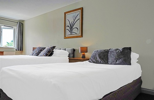 Diss Bed & Breakfast | OYO The Billingford Horseshoes