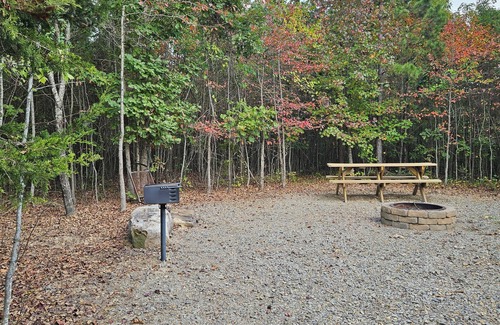 Ozone Cabin | Ozarks Adventure Lodging - Glamping Tent