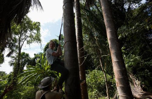 Nauta Cabin | Pacaya Samiria Amazon Lodge - ALL INCLUSIVE