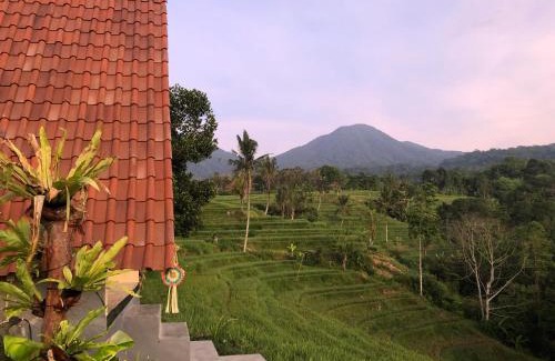 Penebel Cabin | Padi Bali Jatiluwih