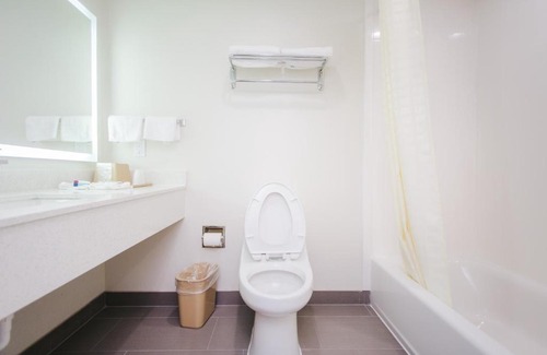 Klein Hotel | Palace Inn- Louetta