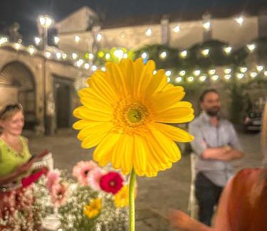 Caivano House | Palazzo Capece