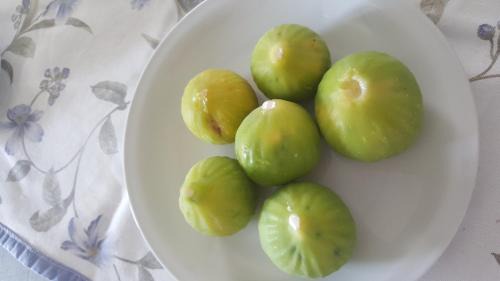 Ascoli Satriano House | Palazzo Piccolo