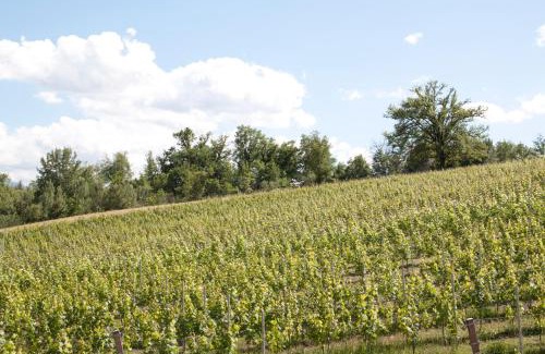 Arce House | Palazzo Tronconi agriturismo