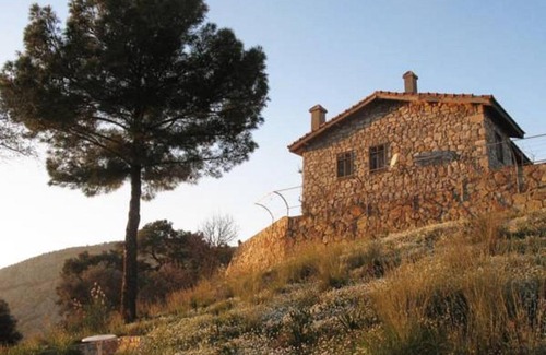 Ortaca Cabin | Palm House Dalyan
