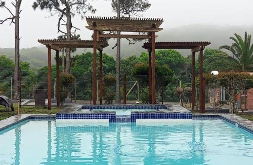 Kidd's Beach Other | Palm Springs Holiday Beach Resort