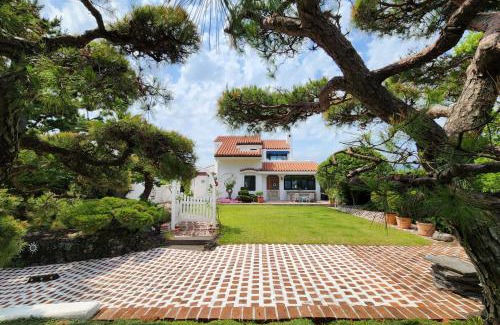 Seogwipo City Villa | Palm Tree Villa