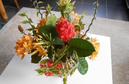 Clevia Apartment | Palm Village 134