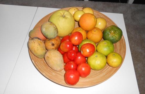 Clevia Apartment | Palm Village 134