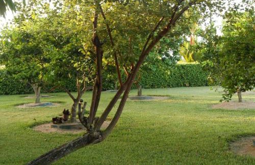 Clevia Apartment | Palm Village 134