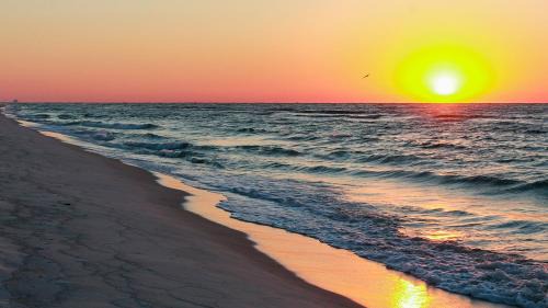 Seagrove Beach House | Palms D2 - Sandcastle Dreams